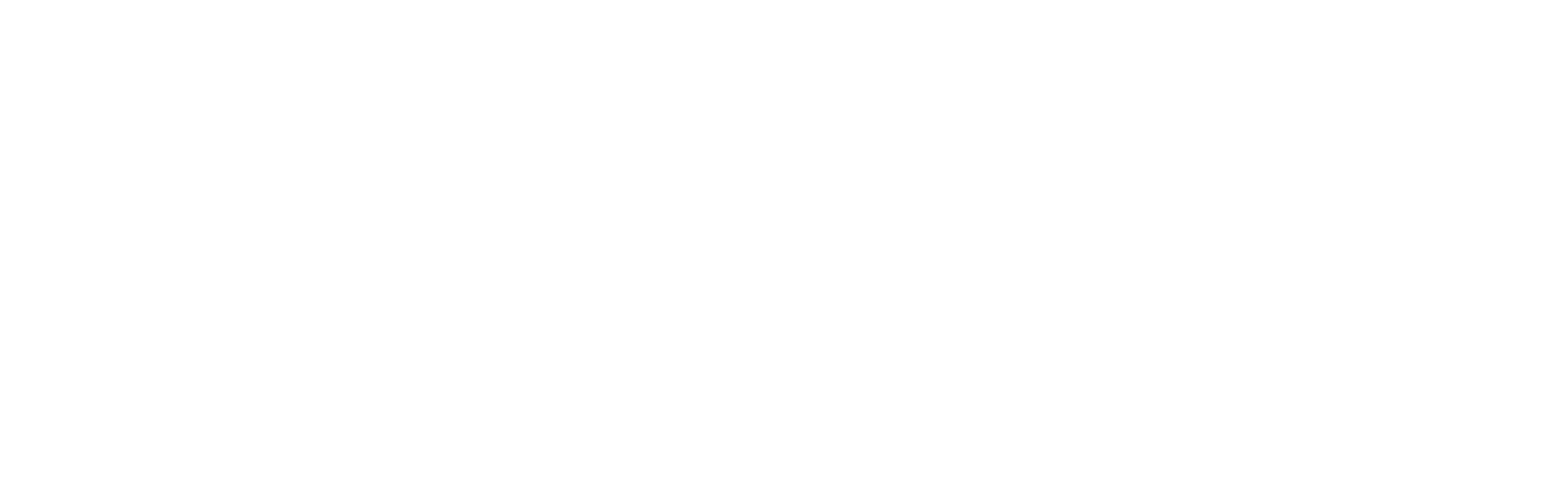 OnlineCare AI